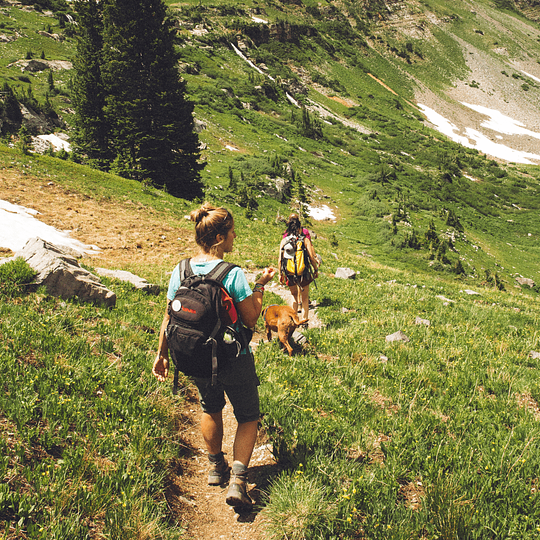 Qualified Mountain Leader