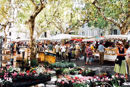 Explore the market in St. Remy