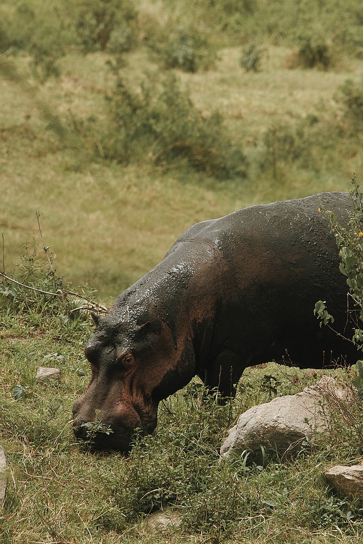 HR_TANZANIA_ZAHIJOURNEYS_2024_960