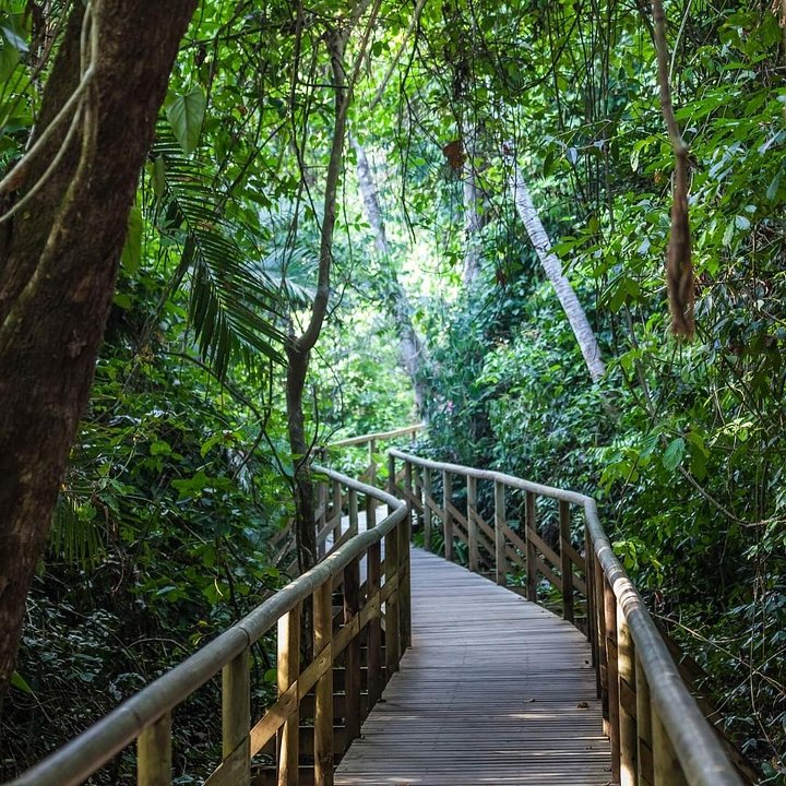 CostaRicaManuelAntonio