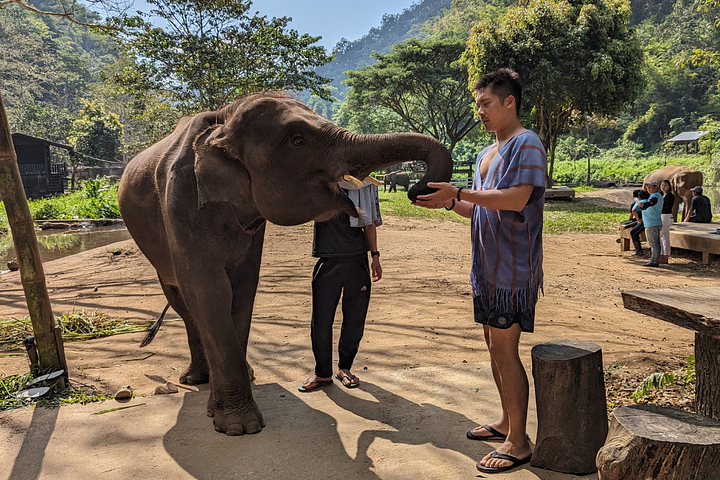 ElephantCamp