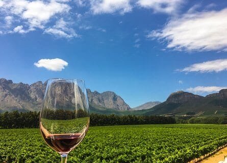 winetasting