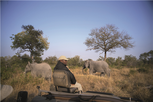 SafariPic3