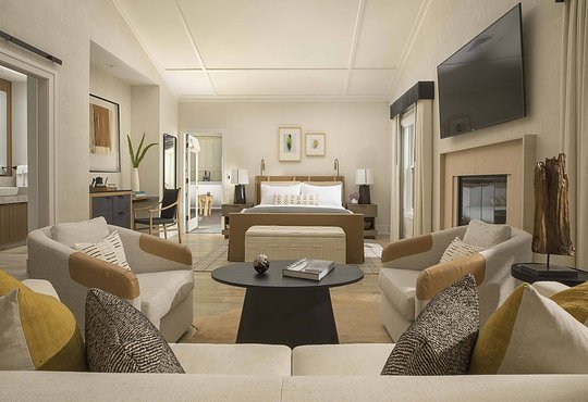 Premium Suite 