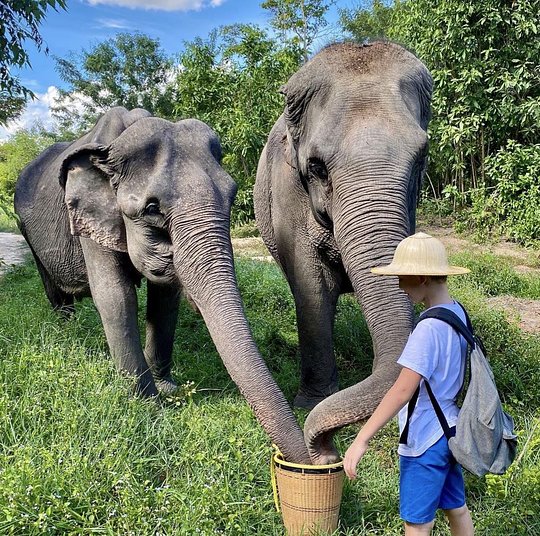 Elephant Sanctuary