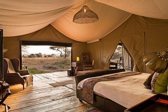 Stay in unique tented camps and lodges among Africa’s wildlife