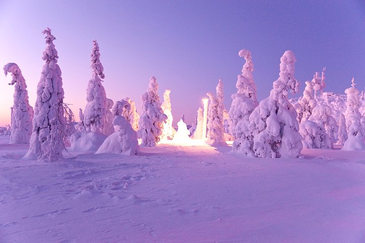 magicwintercoldweatherpinklights20241126060210utc