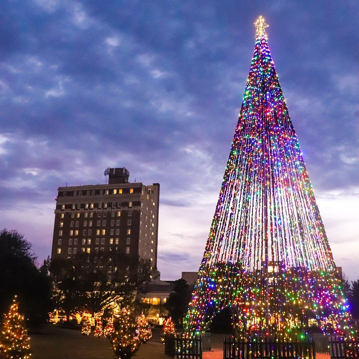 charlestonchristmastree