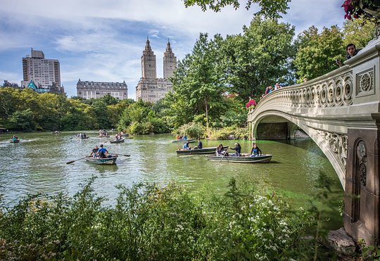 Visita el Met, el FIT, el Central Park, la 5ª Avenida y el Top of the Rock.
