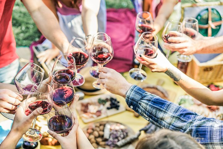 groupoffriendsenjoyingpicnicwhiledrinkingre20250222050218utc
