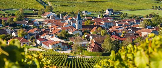  A Champagne and Burgundy Sparkling Wine Adventure 