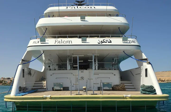 falcon_rear