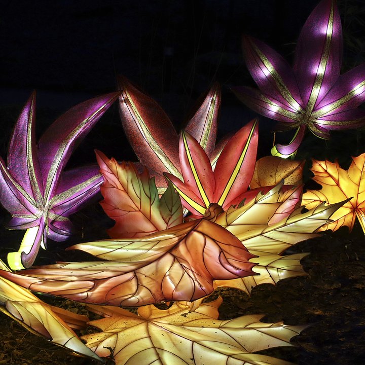 LightopiaAlton