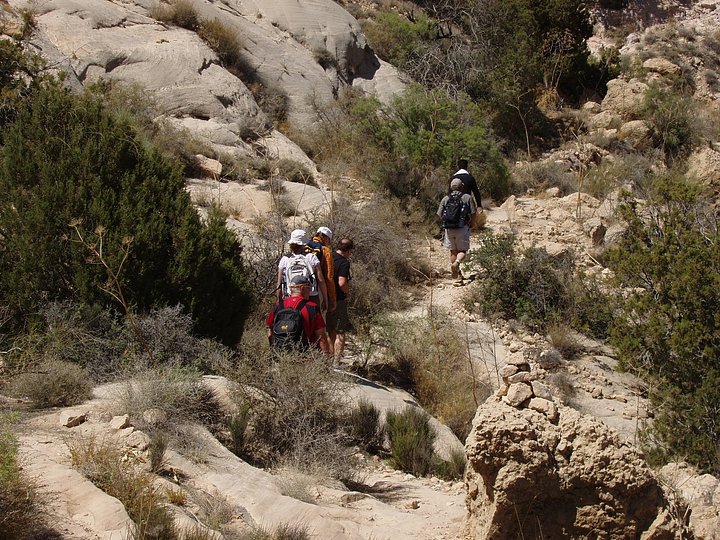 HikersinDana