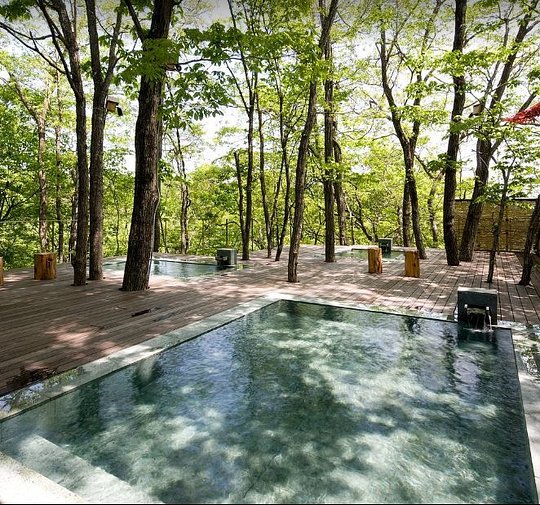 Hot Spring Spas