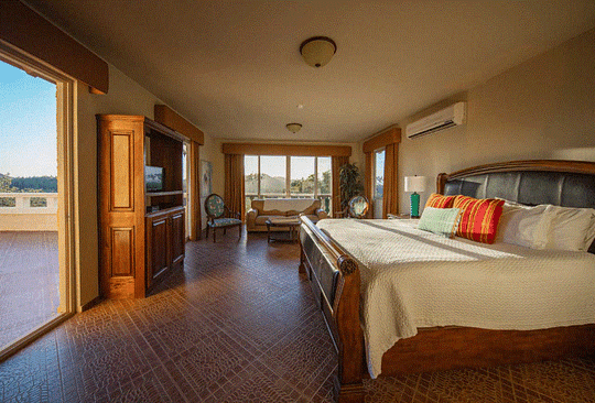 Double Occupancy King Suite