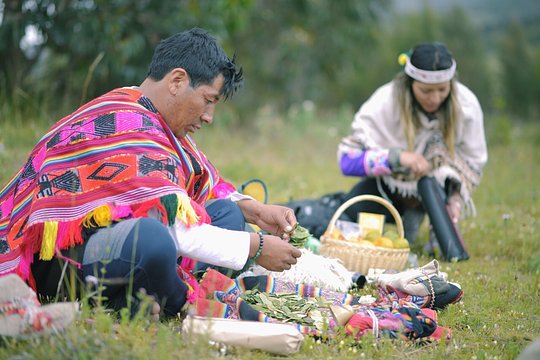 San Pedro (Wachuma) full day with ancestral ceremonies- Private