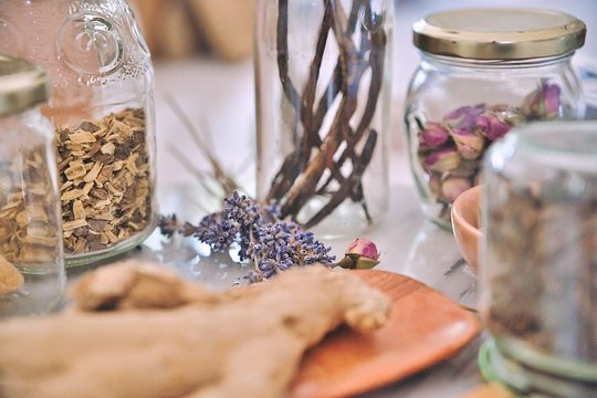 Herbology Workshop 