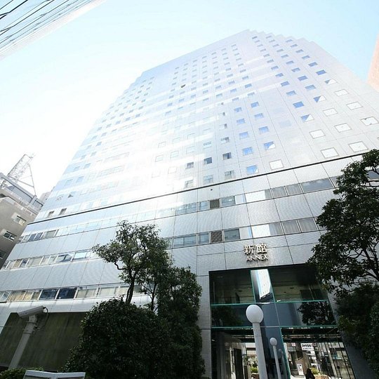 Shinjuku Washington Hotel (or similar)