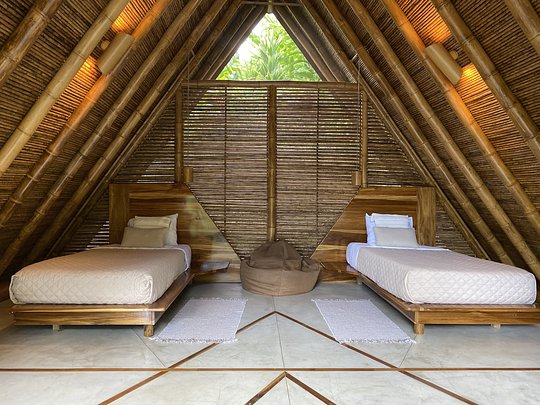 Shared Jungle Hut