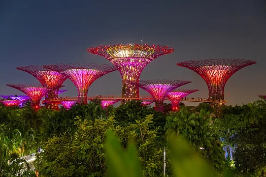 Experience the magical light show at Gardens by the Bay