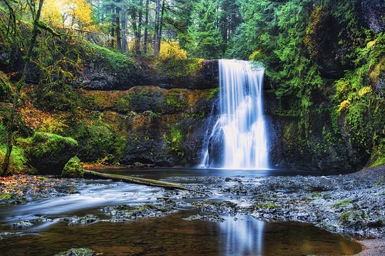 Walk behind a waterfall in the Silver Falls State Parks