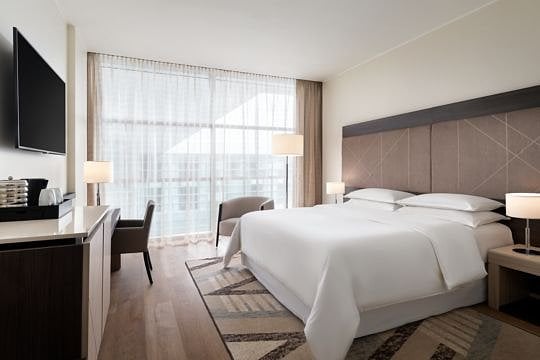 Arrive June 4 in Milan - Private Room