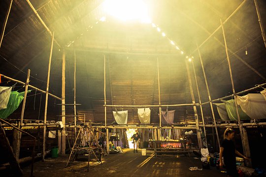 Jungle Camps