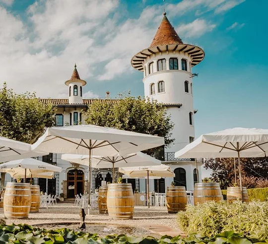 Sip, swirl, and taste sparkling wine in Penedès and Empordà