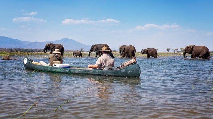 zimbabwe7
