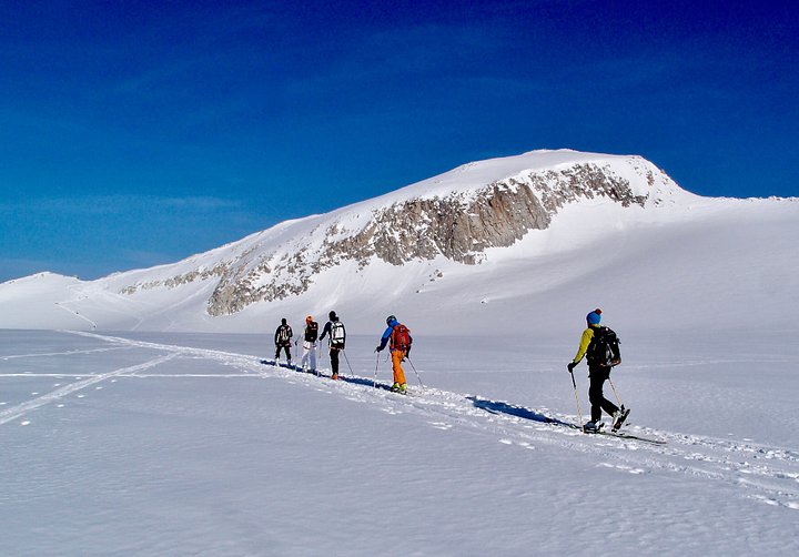 Adamello Glacier Ski Touring Traverse Travel Price