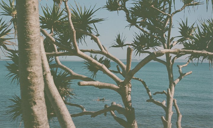 halselodgenoosaheadslocationpalmsoceanviews