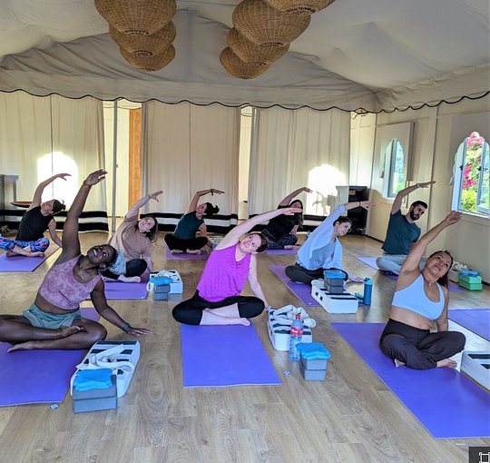 Daily Yoga Classes