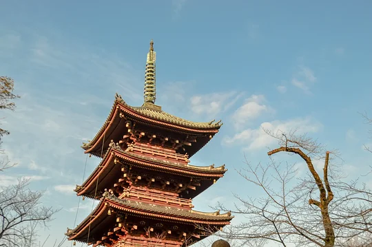 Wander the grounds of UNESCO World Heritage Sites 
