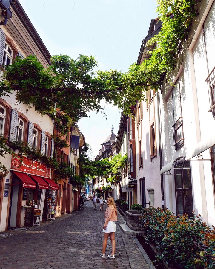 freiburgthetravelistajessgibson3888887845