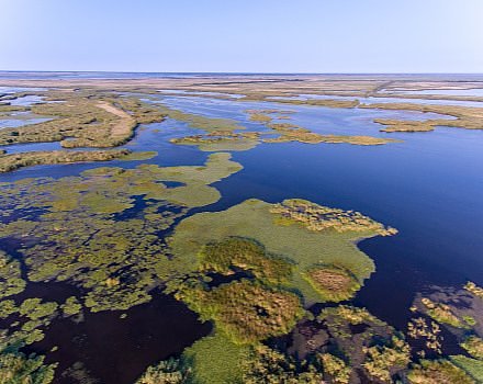 Europe's Last Wilderness