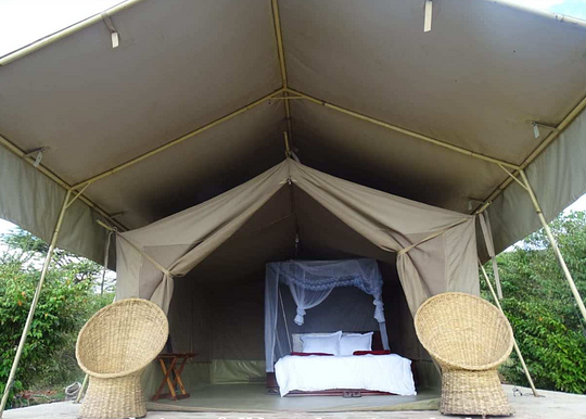 Lodging 