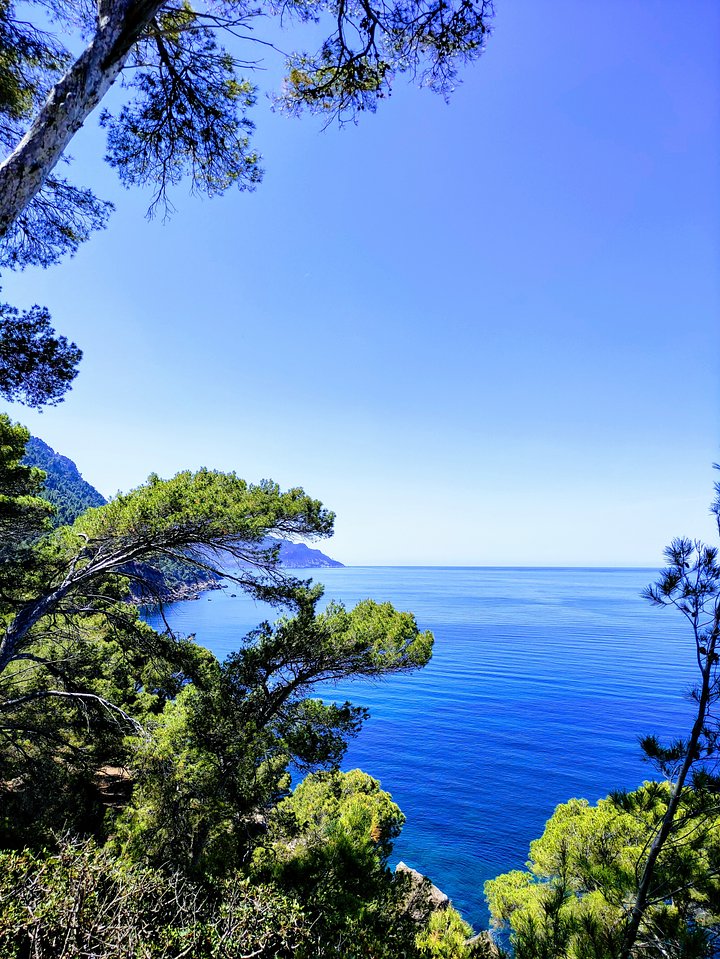 sweettramuntana6saforadada
