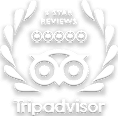 TripAdvisor 