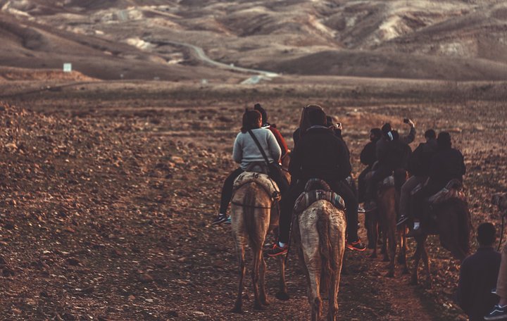 Horseback Riding