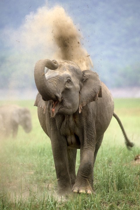 iStock108126702