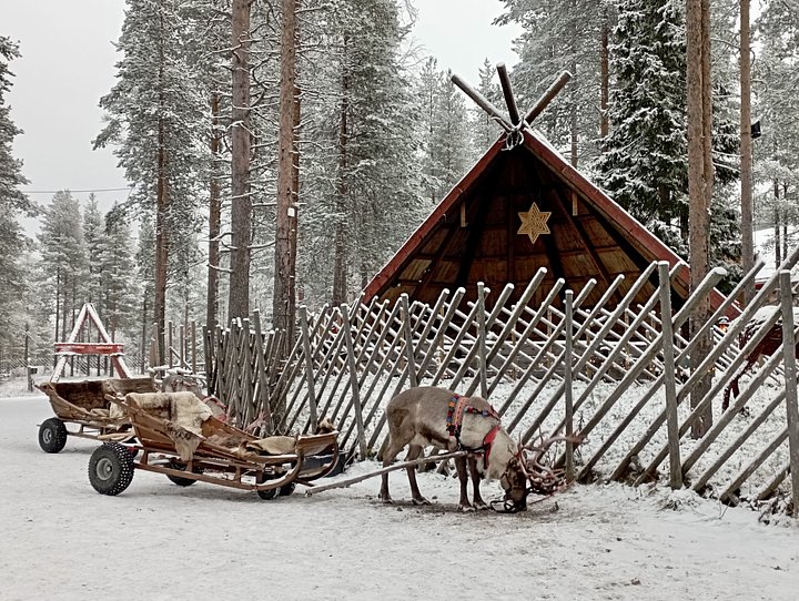 reindeerinfrontofawoodenhouse20250323232203utc