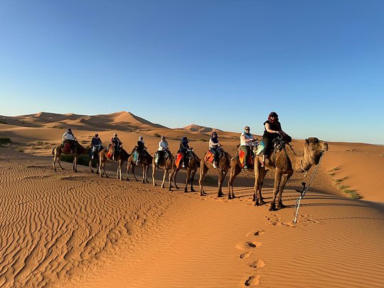 Ride camels through the golden Saharan dunes