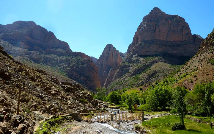 taghia3