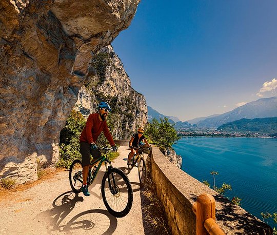 Bike Rental