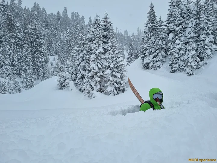 mubiphotosnowcatskigeorgie_36