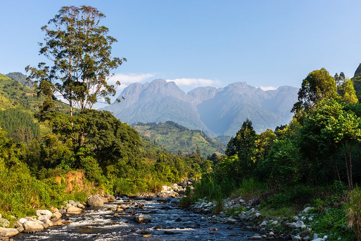 shutterstock_1471098818