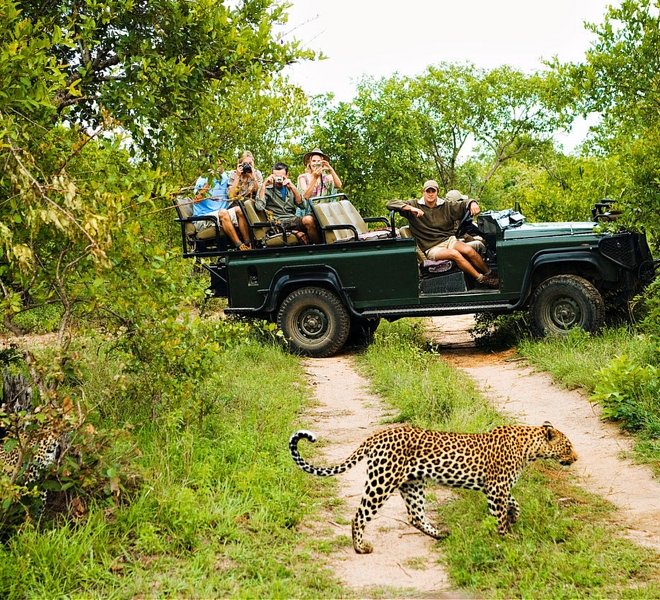 Best Affordable Safari Holidays