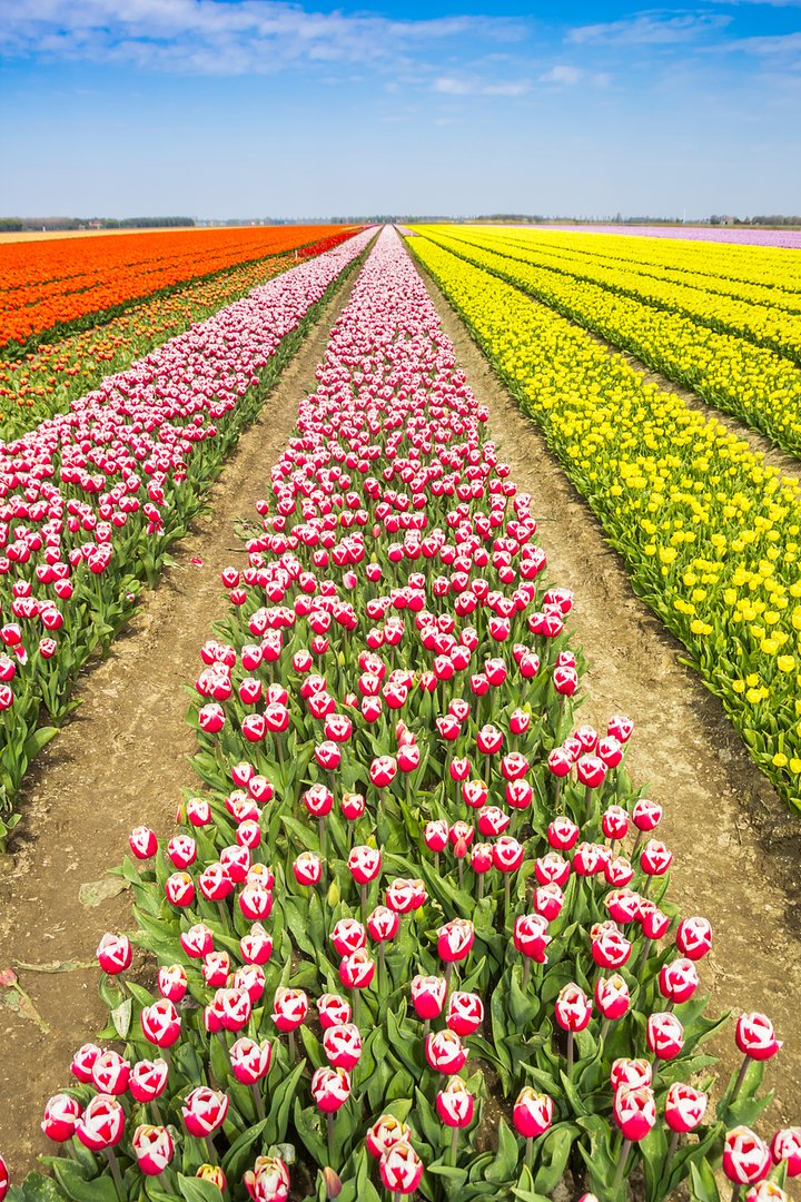 iStock1362205398