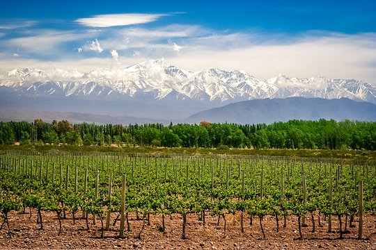 Authentic Argentina: Tango, Gauchos & Vino